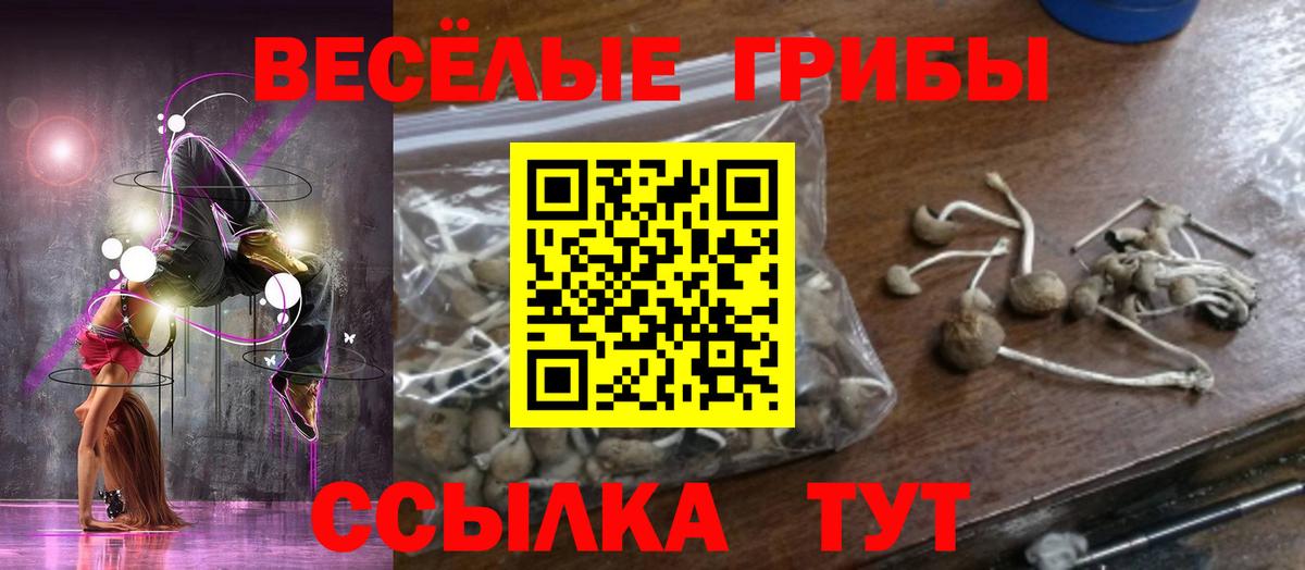 Псилоцибиновые грибы прущие грибы  Вход с VPN  Заринск  Галлюциногенные грибы прущие грибы 