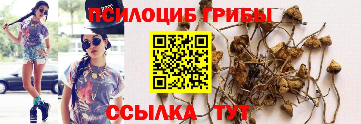 Галлюциногенные грибы ЛСД Заринск
